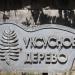 Уксусное дерево (сумах оленерогий) в городе Белгород