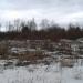 Пустырь в городе Гатчина