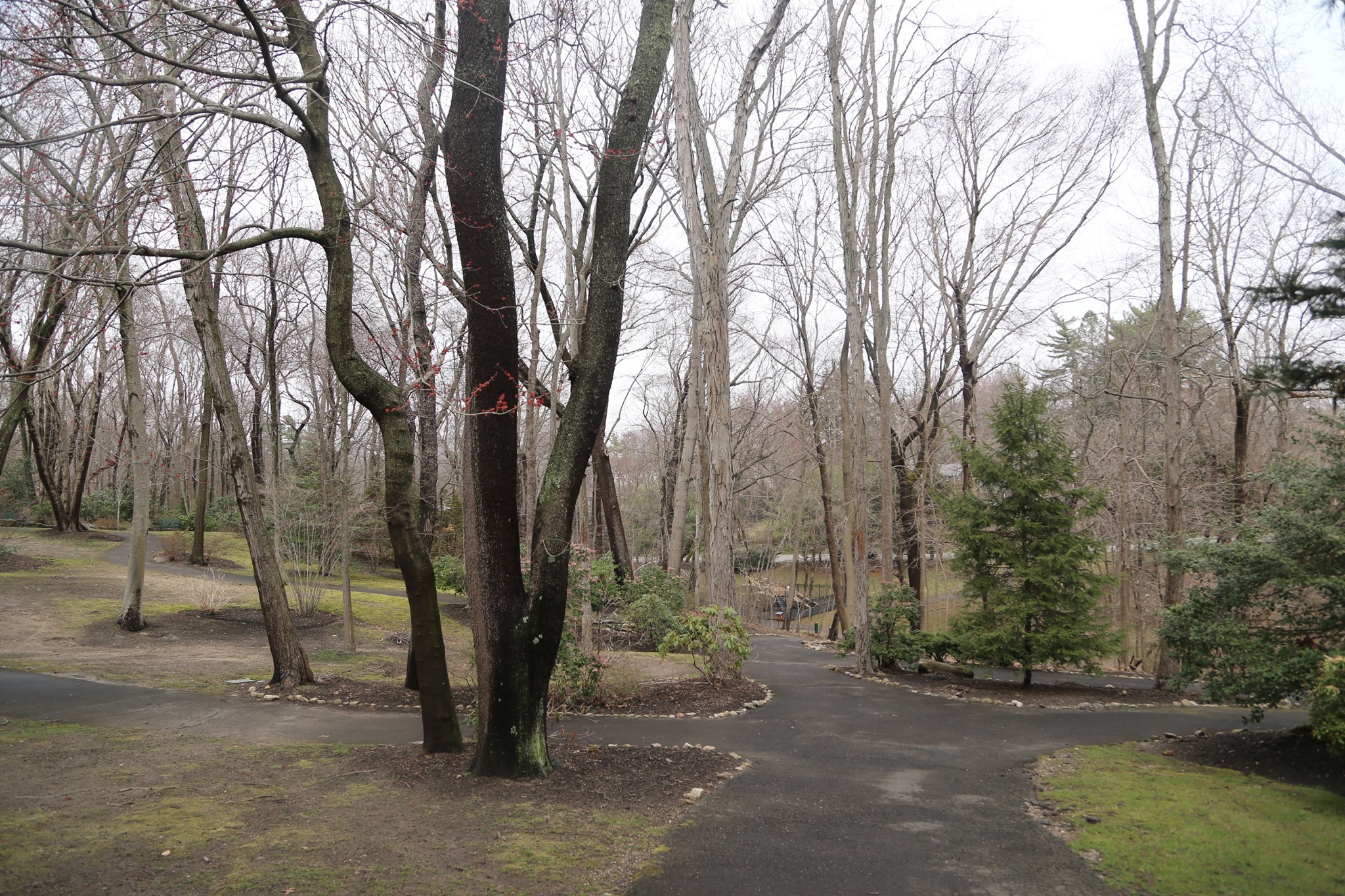 Flower Hill Village Park Flower Hill, New York