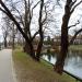 Pieszy mostek (pl) in Warsaw city
