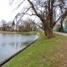Park ze Stawami Cietrzewia (pl) in Warsaw city