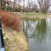 Park ze Stawami Cietrzewia (pl) in Warsaw city