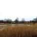 Park ze Stawami Cietrzewia (pl) in Warsaw city