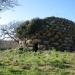 Nuraghe Zuanne Orane