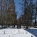 Аллея в городе Бор