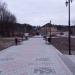 Растительность (ru) in Zhytomyr city