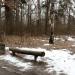 Bench in Zhytomyr city