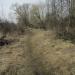 Дорожное полотно в городе Голицыно