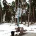 Станція підзарядки «Сонячне дерево» в місті Житомир