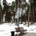 Solar Tree Recharging Station in Zhytomyr city