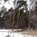 Solar Tree Recharging Station in Zhytomyr city