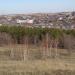 Сосново-берёзовый лес в городе Магнитогорск