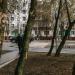 Пешеходный переход в городе Москва