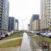 Газон в городе Москва