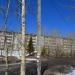 8-й квартал (ru), 13 in Zheleznogorsk-Ilimsky city