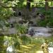 Magellanic penguins (ro) in Augsburg city