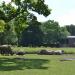 Giraffes in Augsburg city