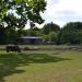 Rhinos in Augsburg city
