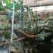 Reptile house in Augsburg city
