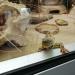 Reptile house in Augsburg city