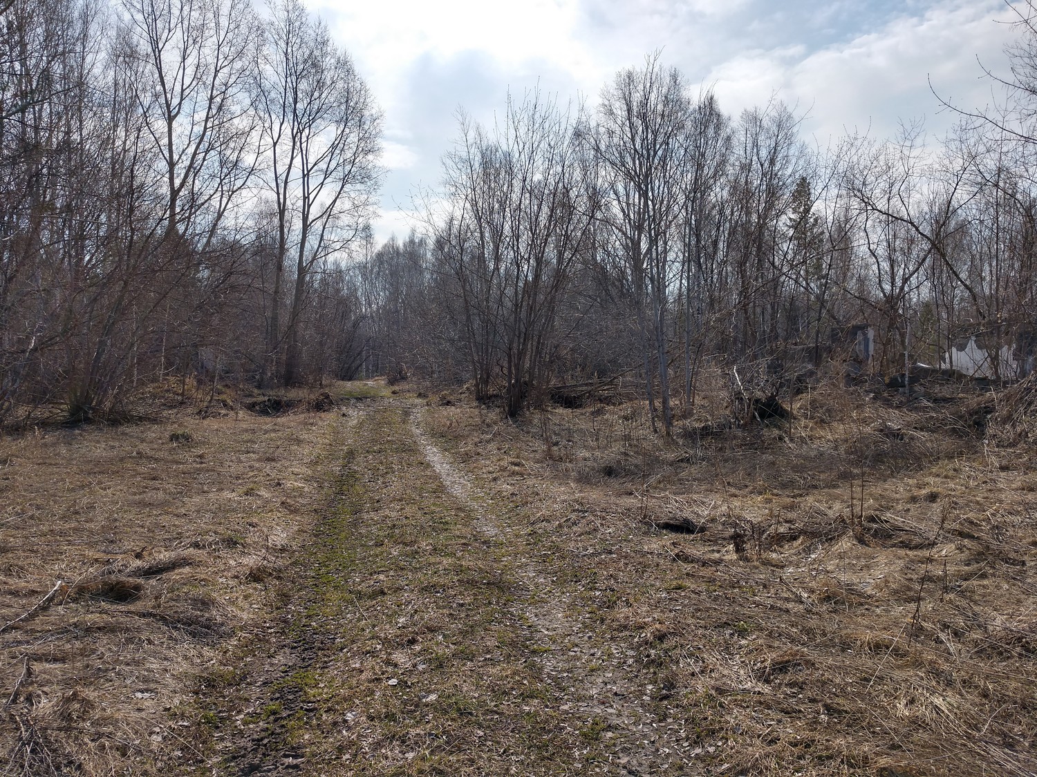 World / Russia / Novosibirsk / Mochishche , 2 км от центра (Мочище) Мир ...