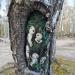 Дерево с рисунком на стволе «Кодамы» в городе Москва
