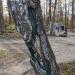 Дерево с рисунком на стволе «Кодамы» в городе Москва