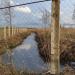 Скотомогильник в городе Кимры