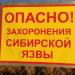 Скотомогильник в городе Кимры