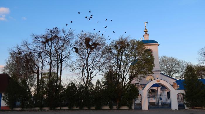 Часовня Димитрия Солунского в Снегирях