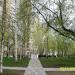 Берёзовая аллея в городе Москва