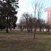 Accounting in Zhytomyr city