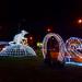Новогодняя композиция «Белая металлическая крыса» (ru) in Homieĺ city