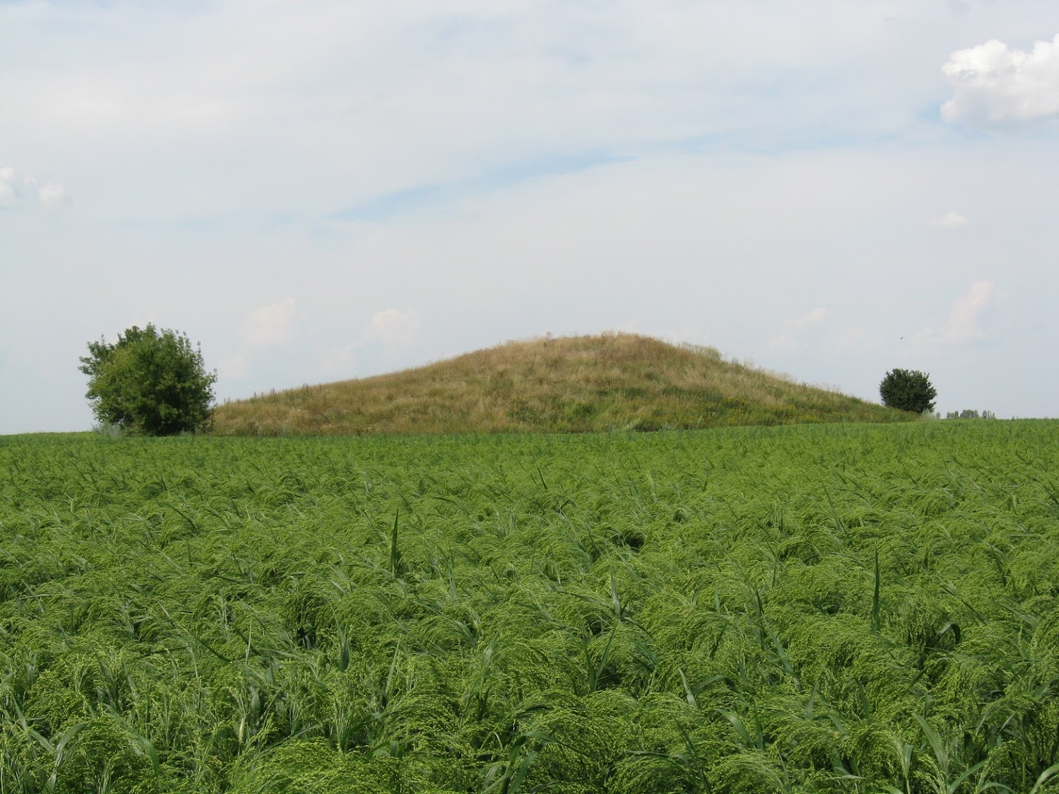 Республика Украина село ореховое