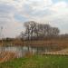 Кирпичный ставок № 1 в городе Енакиево