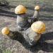 Деревянные грибы в городе Клин