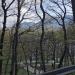 Лестница в городе Железноводск