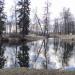 Майдановский пруд в городе Клин