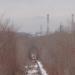 Зелёный тоннель над железной дорогой в городе Магнитогорск