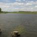 Pond