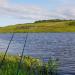 Pond