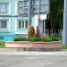 Клумба в городе Гомель