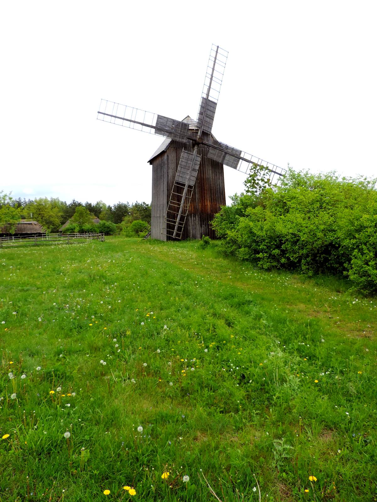 Windmill from Grzmucin in the open air museum Tokarnia