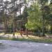 Детская площадка в городе Киржач