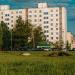 Клумба в городе Москва