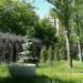 Сквер молодожёнов в городе Москва