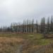 Дом детского творчества в городе Крестовка (Кировское)