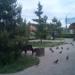 Сквер с лавочками в городе Истра