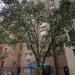 337 West 30th Street in New York City, New York city