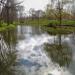 Staw in Ornontowice city